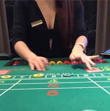 365pkr